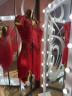 1215 Red latin dance dress